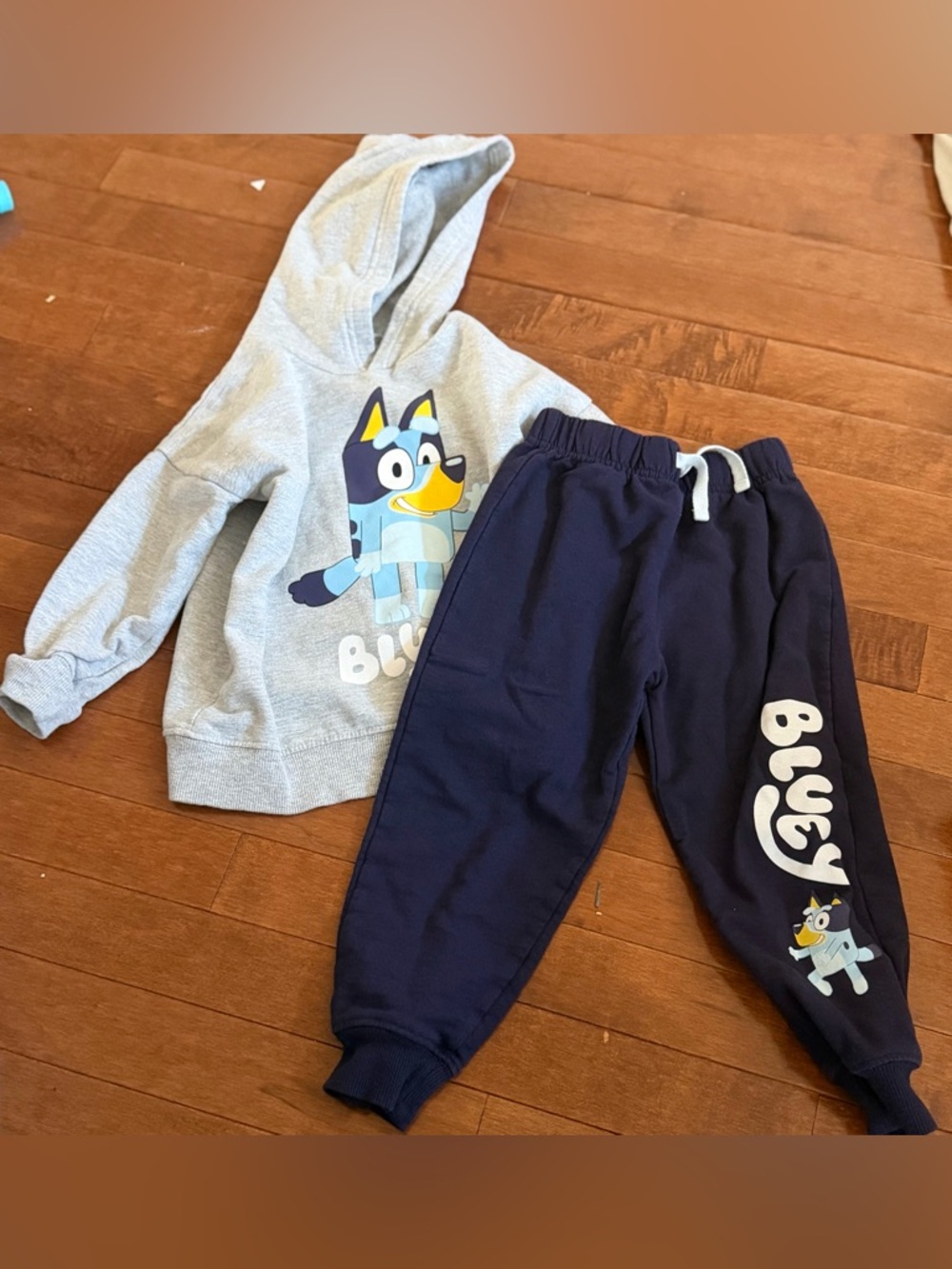 Two-Piece Kids Hoodie and Jogger Set - Bluey Graphic